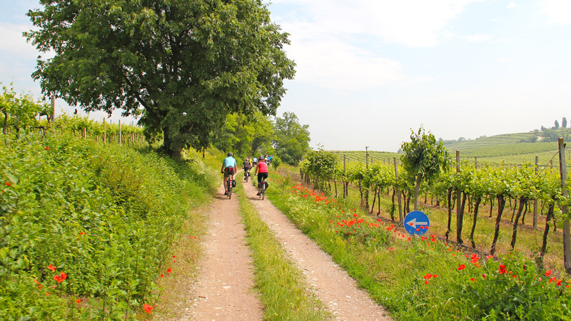 Italia - På egen hånd